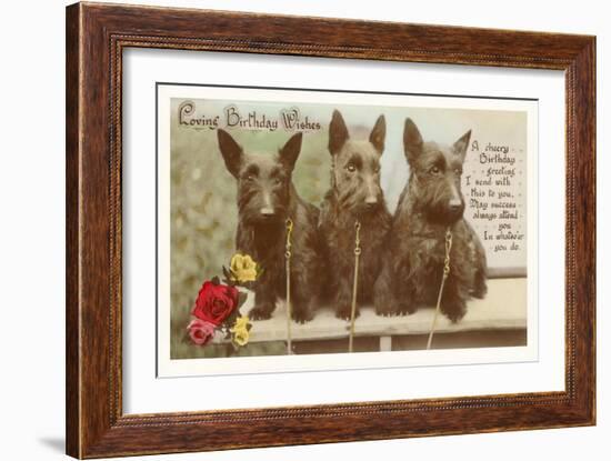 Loving Birthday Wishes, Three Scottie Dogs-null-Framed Art Print