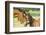 Loving Mare and Foal-null-Framed Premium Giclee Print