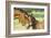 Loving Mare and Foal-null-Framed Art Print