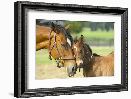 Loving Mare and Foal-null-Framed Art Print