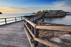 Summer Sunrise at Lighthouse Beach Port Macquarie-lovleah-Framed Photographic Print