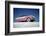 Low-Angle View of a 1954 Ford Fairlane Automobile-Yale Joel-Framed Photographic Print