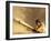 Low Angle View of a Baseball Player Swinging a Baseball Bat-null-Framed Photographic Print