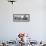 Low Angle View of a Flock of Pigeons, St. Mark's Square, Venice, Italy-null-Framed Photographic Print displayed on a wall