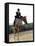 Low Angle View of a Jockey And a Horse Jumping Over a Hurdle-null-Framed Premier Image Canvas