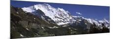 Photographic Print