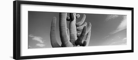 Low Angle View of a Saguaro Cactus(Carnegiea Gigantea), Saguaro National Park, Tucson-null-Framed Photographic Print