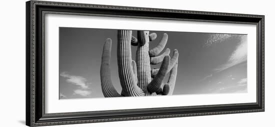 Low Angle View of a Saguaro Cactus(Carnegiea Gigantea), Saguaro National Park, Tucson-null-Framed Photographic Print