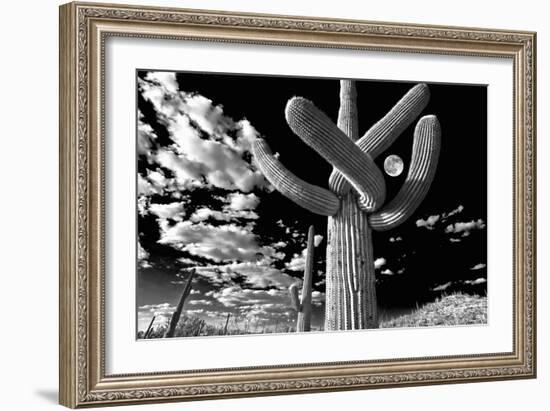 Low Angle View of a Saguaro Cactus (Carnegiea Gigantea), Tucson, Pima County, Arizona, USA-null-Framed Photographic Print