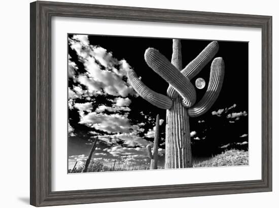 Low Angle View of a Saguaro Cactus (Carnegiea Gigantea), Tucson, Pima County, Arizona, USA--Framed Photographic Print