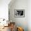 Low Angle View of a Saguaro Cactus (Carnegiea Gigantea), Tucson, Pima County, Arizona, USA-null-Framed Photographic Print displayed on a wall