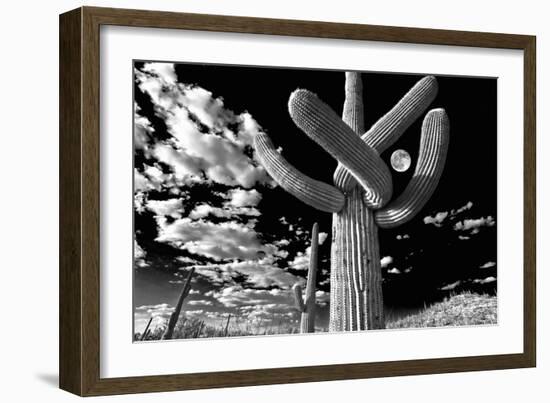 Low Angle View of a Saguaro Cactus (Carnegiea Gigantea), Tucson, Pima County, Arizona, USA-null-Framed Photographic Print