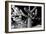 Low Angle View of a Saguaro Cactus (Carnegiea Gigantea), Tucson, Pima County, Arizona, USA-null-Framed Photographic Print