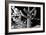 Low Angle View of a Saguaro Cactus (Carnegiea Gigantea), Tucson, Pima County, Arizona, USA-null-Framed Photographic Print