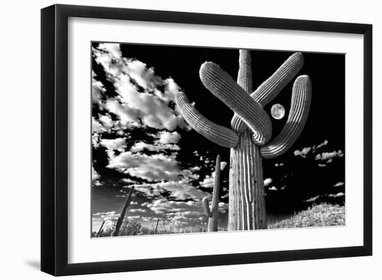 Low Angle View of a Saguaro Cactus (Carnegiea Gigantea), Tucson, Pima County, Arizona, USA-null-Framed Photographic Print