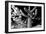 Low Angle View of a Saguaro Cactus (Carnegiea Gigantea), Tucson, Pima County, Arizona, USA-null-Framed Photographic Print