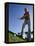 Low Angle View of a Senior Man Swinging a Golf Club-null-Framed Premier Image Canvas