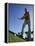 Low Angle View of a Senior Man Swinging a Golf Club-null-Framed Premier Image Canvas