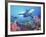 Low Angle View of a Shark Swimming Underwater, Indo-Pacific Ocean-null-Framed Photographic Print