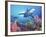 Low Angle View of a Shark Swimming Underwater, Indo-Pacific Ocean-null-Framed Photographic Print