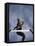 Low Angle View of a Young Man Jumping over a Hurdle-null-Framed Premier Image Canvas