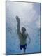 Premium Photographic Print