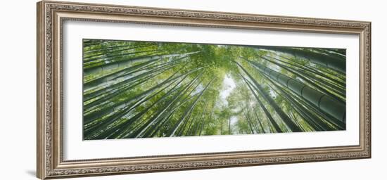 Low Angle View of Bamboo Trees, Hokokuji Temple, Kamakura, Kanagawa Prefecture, Kanto Region, Ho...-null-Framed Photographic Print