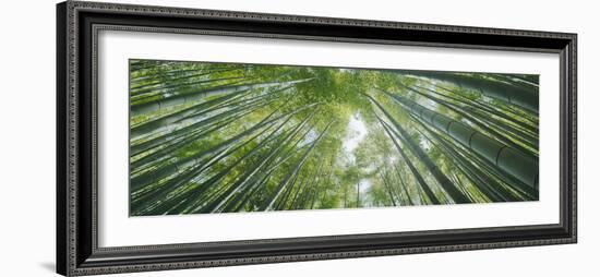 Low Angle View of Bamboo Trees, Hokokuji Temple, Kamakura, Kanagawa Prefecture, Kanto Region, Ho...-null-Framed Photographic Print