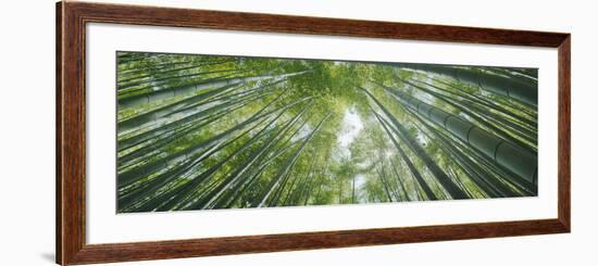 Low Angle View of Bamboo Trees, Hokokuji Temple, Kamakura, Kanagawa Prefecture, Kanto Region, Ho...-null-Framed Photographic Print