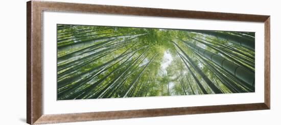 Low Angle View of Bamboo Trees, Hokokuji Temple, Kamakura, Kanagawa Prefecture, Kanto Region, Ho...-null-Framed Photographic Print