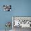 Low Angle View of Children of a Baseball Team in a Huddle-null-Photographic Print displayed on a wall