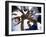 Low Angle View of Children of a Baseball Team in a Huddle-null-Framed Photographic Print