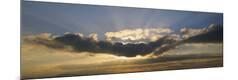 Photographic Print