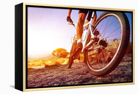 Low Angle View Of Cyclist Riding Mountain Bike On Rocky Trail At Sunrise-warrengoldswain-Framed Premier Image Canvas