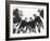Low Angle View of Football Huddle-Everett Collection-Framed Photographic Print