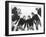 Low Angle View of Football Huddle-Everett Collection-Framed Photographic Print