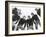 Low Angle View of Football Huddle-Everett Collection-Framed Photographic Print