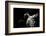 Low angle view of Jaguar patrolling territory at night, Mexico-Alejandro Prieto-Framed Photographic Print