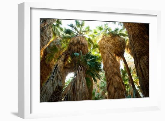 Low Angle View of Palm Trees, Palm Springs, Riverside County, California, USA-null-Framed Photographic Print