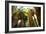 Low Angle View of Palm Trees, Palm Springs, Riverside County, California, USA-null-Framed Photographic Print