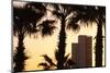Low angle view of palm trees with office building in the background, Tel Aviv, Israel-null-Mounted Photographic Print