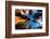 Low angle view of Sequoia trees in forest, California, USA-null-Framed Photographic Print