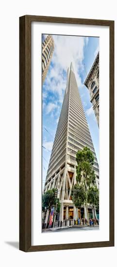 Low Angle View of Skyscrapers, Transamerica Pyramid, San Francisco, California, USA-null-Framed Photographic Print