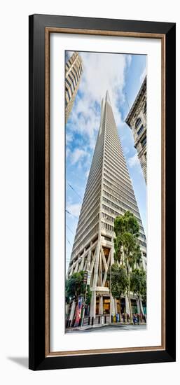 Low Angle View of Skyscrapers, Transamerica Pyramid, San Francisco, California, USA-null-Framed Photographic Print