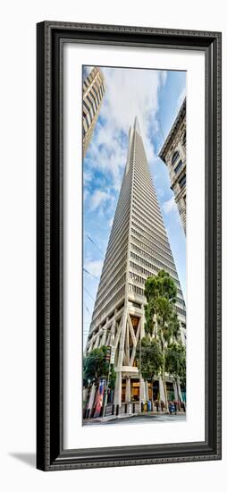 Low Angle View of Skyscrapers, Transamerica Pyramid, San Francisco, California, USA-null-Framed Photographic Print