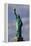 Low angle view of Statue Of Liberty, Manhattan, New York City, New York State, USA-null-Framed Premier Image Canvas