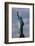 Low angle view of Statue Of Liberty, Manhattan, New York City, New York State, USA-null-Framed Photographic Print