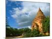 Photographic Print