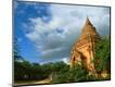 Photographic Print