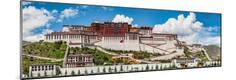 Premium Photographic Print